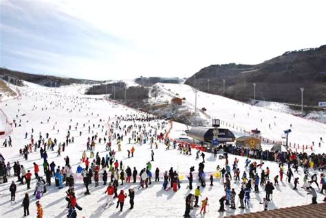 白色有香味的花|【釜山滑雪】探索韓國滑雪場的魅力！速睇釜山2024滑雪攻略